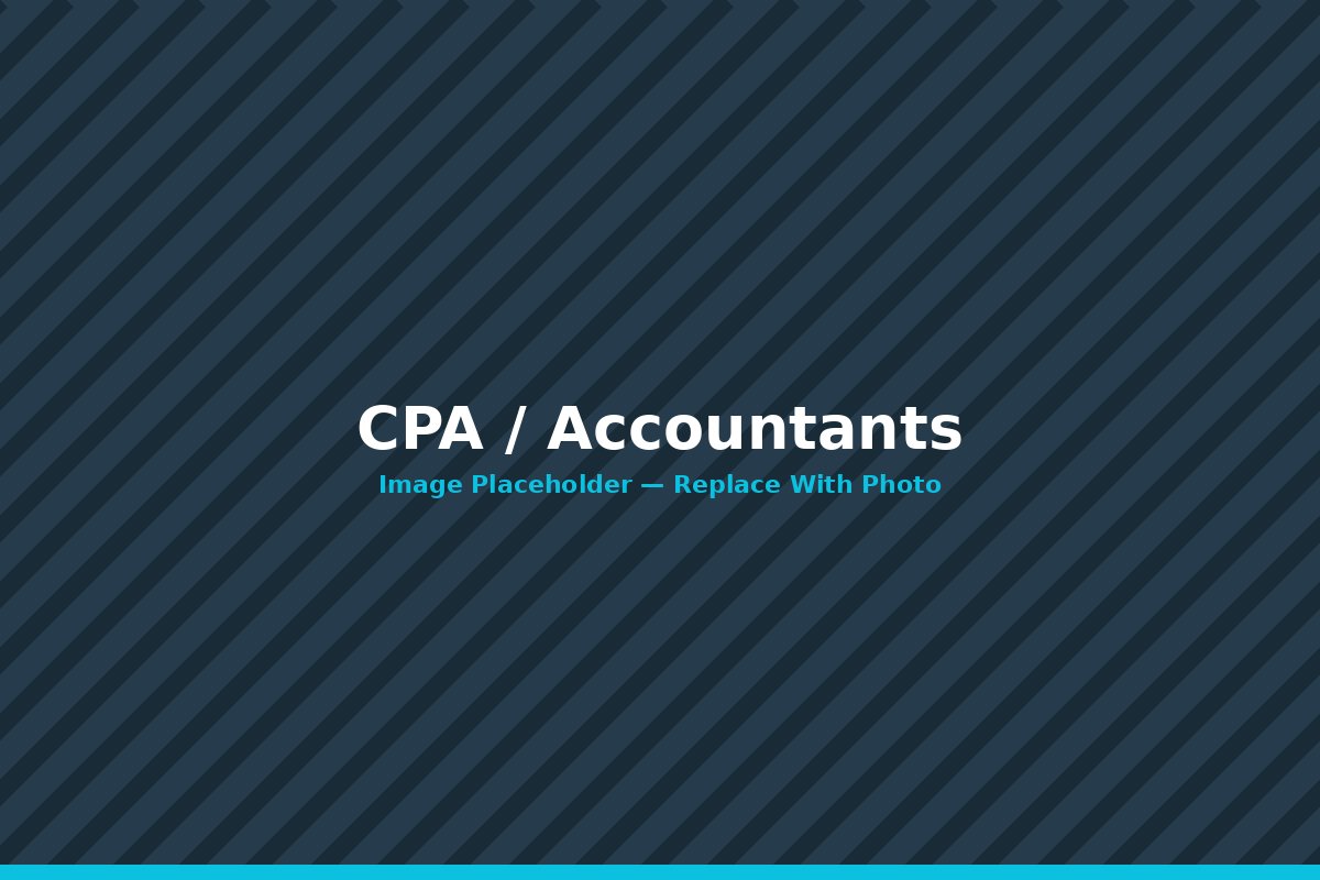 CPA / Accountants