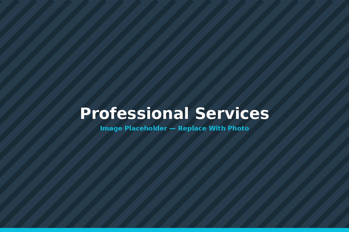 Professional Services